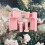 (Pink, -) Support toile diamant, clamp, réglable 1