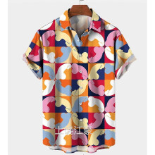 (2XL, 5) 2025-SS Men's Funny Printed Hawaiian Shirt Button Down Beach Top, Novelty Ugly Gag Gift