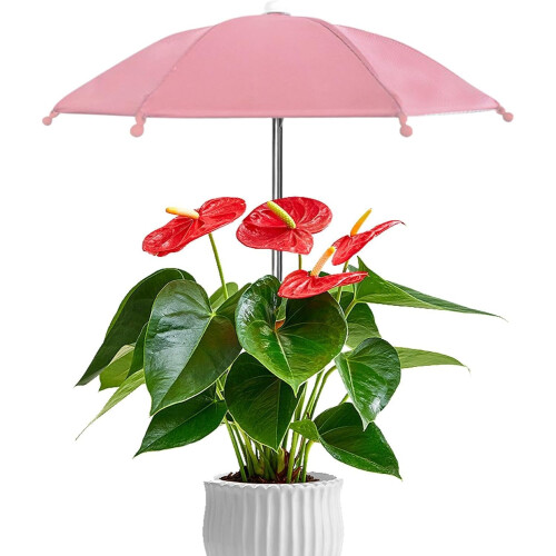 (Pink, -) 4 καπάκια, βαλβίδα LED