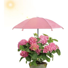 (Pink, -) Mini Plant Umbrella Shade, Windproof Protective Cover for Garden Decor