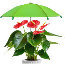 (Green, -) Pflanzenschirm, Kompakt, Metall, Blume, Sonnenschutz, Garten, Deko, Pflanzen