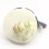 7 Pins  Ignition  with Two 16403 Keys 0009730212 for  Forklift 5