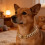 Collier accessoire pour animaux de compagnie, collier-Argent 30 10