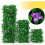 (purple orchid, -) 2 θήκες, ακουστικό ντους 3