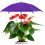 (Purple, -) Ομπρέλα, UPF 50+ 1