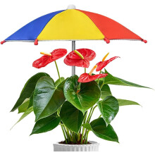 (Colorful, -) 10.6” Garden Umbrella Shade for Outdoor Plants, Stable Support