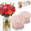 (2pcs Pink, -) Silicone Bloemschikrooster - Herbruikbaar Bloemengrid 1