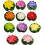 (12PCS, -) Solar Lily Floating Pool Lights, Glowing Artificial Lotus Lantern 1
