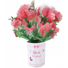 (Carnations, -) Pop Up 3D-kukkakimppukortit, äitienpäivä-syntymäpäiväkortit
