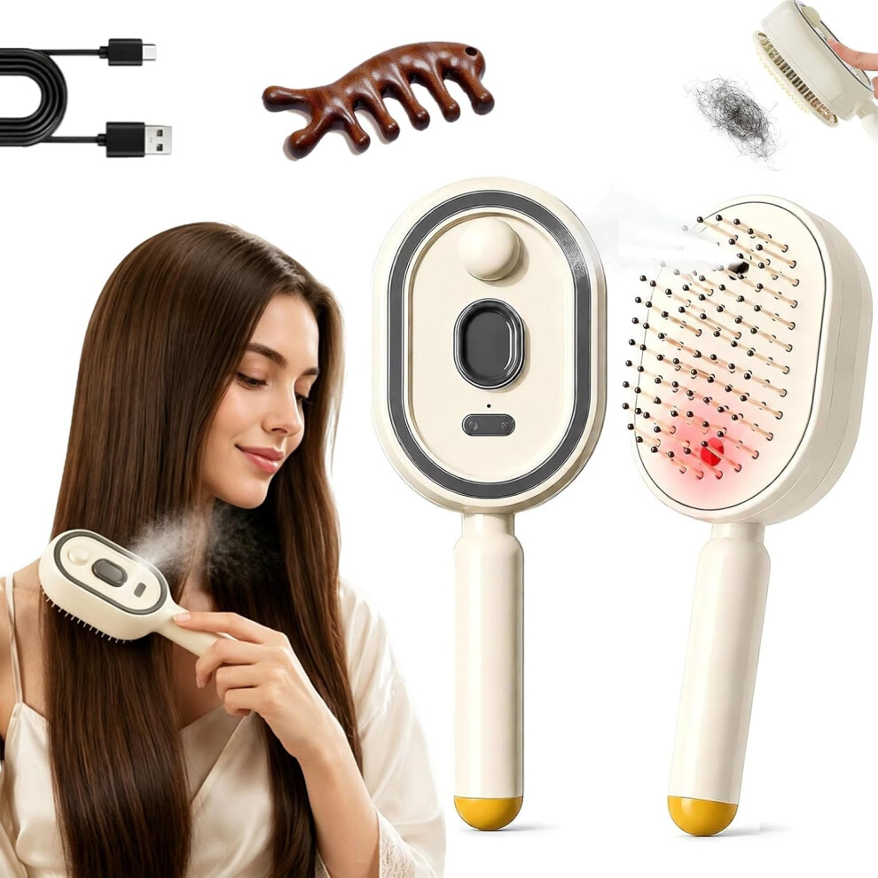 Oimg (Beige, -) 2026 Electric Steam Hair Brush, Detangling Spray Massage Comb