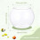 (medium size, -) Pecera decorativa mini, para centro de mesa 2