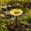 (XS-Sunflower-Yellow, -) Φύλλο καρύδας, φιλικό προς το περιβάλλον 1
