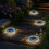 (Blue, -) Ultra Thin Solar Outdoor Disk Lights, Auto On/Off Pathway Decor 1