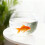 (medium size, -) Pecera decorativa mini, para centro de mesa 7