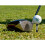 Putt Pursuit 6cm/ 60mm Castle Bamboo Golf Tees - Biodegradable & 6