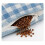 Buckwheat Pillow Pure Cotton Neck Support 4