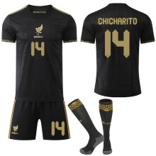 (Matches the image, #24) Mexico National Team 2025-26 America's Cup Commemorative Black Gold Jersey Men's Fan Football Shirt