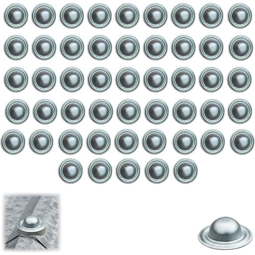 (50pcs, -) 100 bouchons vis toiture