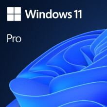 MS Windows 11 Professionnel 64 bits Anglais DVD 1pk OE