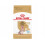 Royal Canin ROYAL CANIN BHN Yorkshire Aging 8 3 kg foder 1