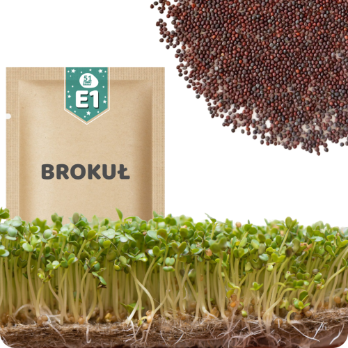 51Seed E01 SPIRER - BROCCOLI 10G