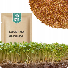 51Seed E11 SPIREFØ - LUCNERE 20G