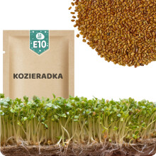 51Seed E10 SPIREFRØ - BUKKEFØR 20G