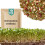 51Seed E12 SPIREFRØ - KINESISK BLANDING 40G 1