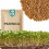 51Seed E14 SPIREFRØ - HVEDE 50G 1