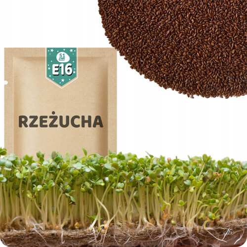 51Seed E16 SPIREFROER - KARSEFRO 30G