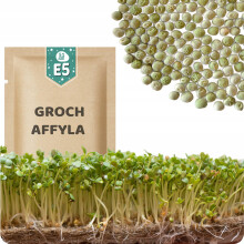 51Seed E05 SPIREFRØ - AFFYLA SUKKERÆRTER 50G