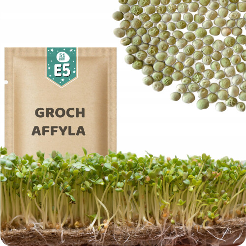 51Seed E05 SPIREFRØ - AFFYLA SUKKERÆRTER 50G