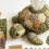 (Turtle, -) Kit DIY animaux marins patchwork, 6 designs 5