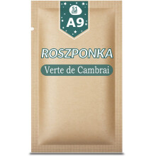 51Frø A09 KAFFE VERTE DE CAMBRAI 1G