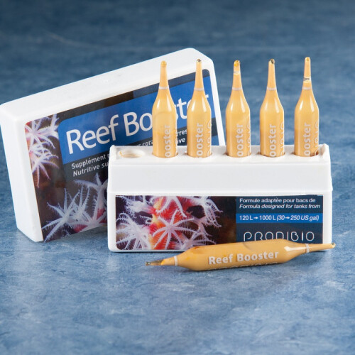 Prodibio Reef Booster 30amp