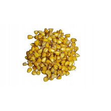 TTCarp Mais, fertiges Futter, 1 kg