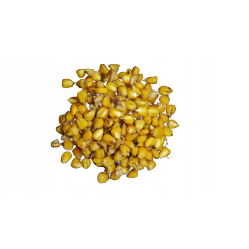 TTCarp CORN, grani pronti da 1 kg