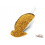 TTCarp CSL Meal 1 kg 1