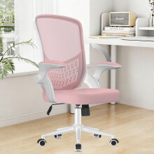 naspaluro Computer Desk Chair with Flip-up Armrests/3D Lumbar Support/Metal Claws, Swivel Mesh Ergonomic Office Chairs, Comfy Study Home Office Chairs