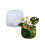 Silikon-Blumentopfform, Sukkulenten, Übertopfform, Frösche, 1