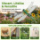 (Green, Style A) 3 οδηγοί, χάρακα ραψίματος 5
