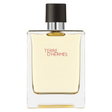 Hermes Terre d'Hermes EDT M 100 ml