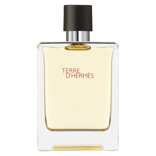 Hermes Hermes Terre d'Hermes EDT M 100 ml