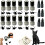 (Three Sets, -) 2026 Kattenstempels - 3 Sets, Zelfinkt 1