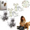 (4pcs d, -) 4 collecteurs poils chat, C 1