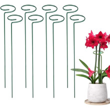 (size_name, 36 Inch-8 Pack) 12 tuteurs plantes, 16 pouces
