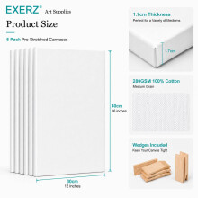 Exerz 30x40cm PreStretched Canvas 5pk 17cm A3 Framed Artist Canvas Blank 28