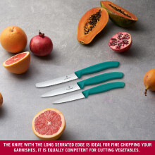 Victorinox Swiss Classic Kitchen Knife Set 3piece paring Knife Tomato Knife