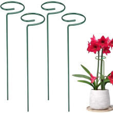 (size_name, 24 Inch-4 Pack) 12 tuteurs plantes, 16 pouces
