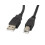 Lanberg AM-BM USB 2.0 Kabel 1,8 m Schwarz 1
